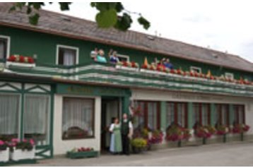 Австрия Penzión Puchberg am Schneeberg, Экстерьер